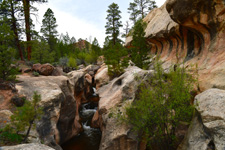 USA-Utah-Pleasant Creek Wilderness Ride